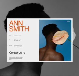 ANN SMITH International Art Gallery